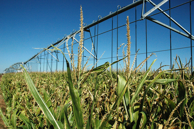 Center Pivot Irrigation Systems